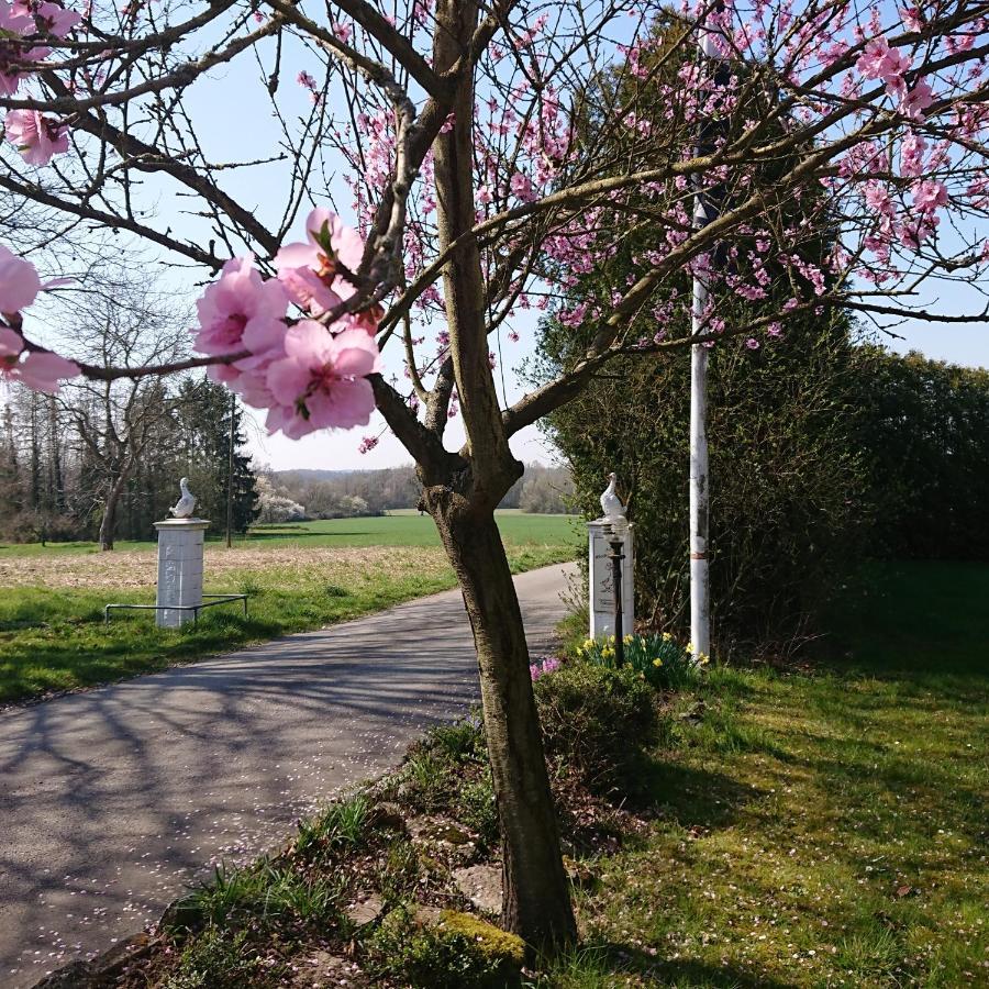 Landgasthof Gaensberg Wiesloch Bagian luar foto
