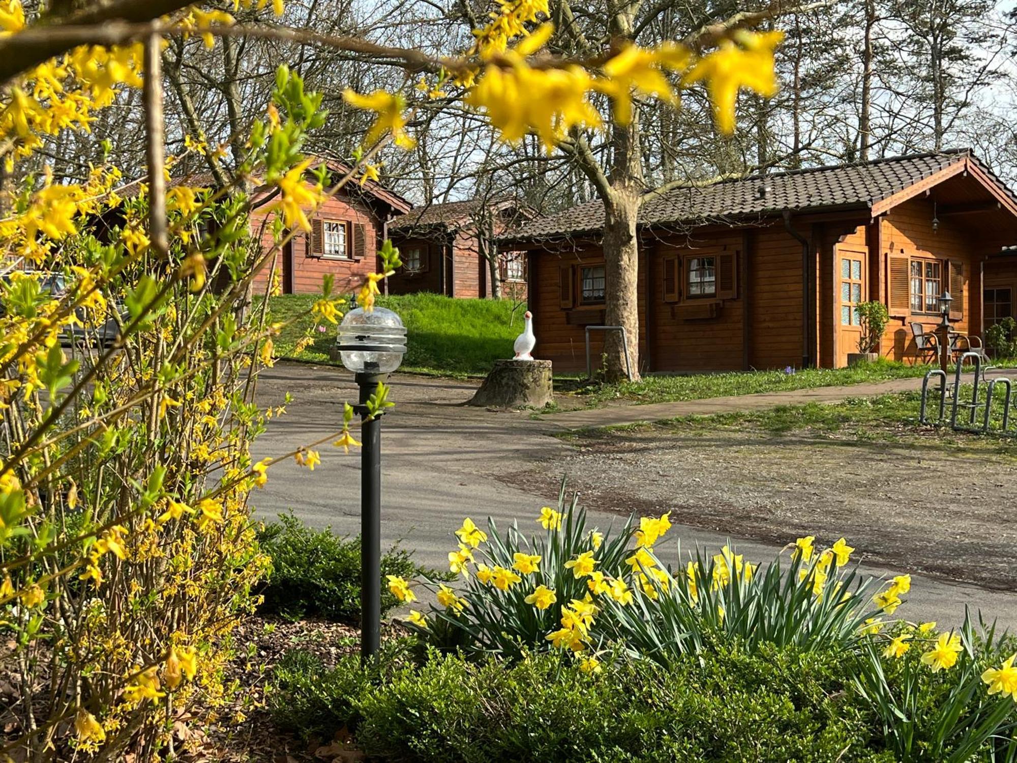 Landgasthof Gaensberg Wiesloch Bagian luar foto